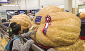 The Royal Agricultural Winter Fair