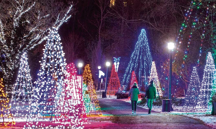 Фестиваль огней, Illuminarium  и прогулки в заповедном лесу