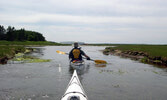 Prince Edward Island National Park - единственный национальный парк самой маленькой провинции...