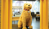 Мероприятие "Meet Oscar the 6-Foot Dog" в рамках программы  Ontario Science Centre’s KidSpark...