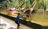 Reptilia Zoo & Education Centre