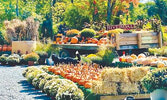 Riverdale Farm and garden...